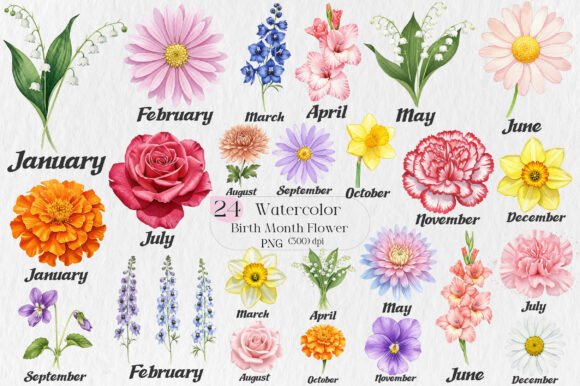 Birth Month Flower Watercolor Clipart: Your Creative Shortcut for Meaningful, Personalized Designs