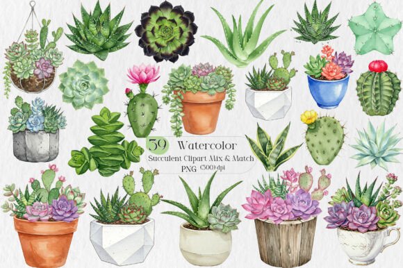 Watercolor Succulent Clipart Mix Match: Your Go-To Creative Toolkit for Real Projects